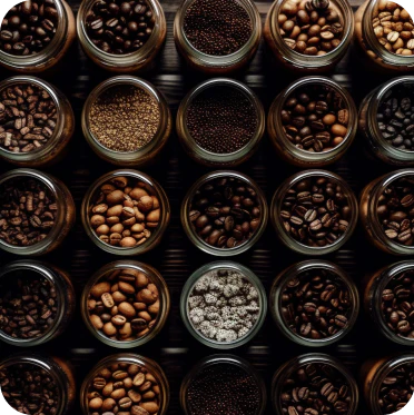 Roasters Choice - Signature Blends